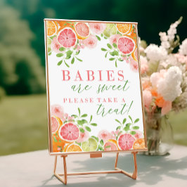 Citrus Fruit & Flowers Baby Shower Favests Sign Poster
