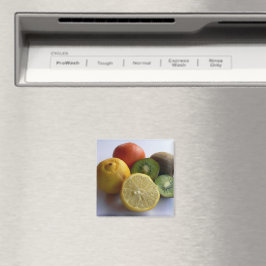 Citrus Fruit Magnet