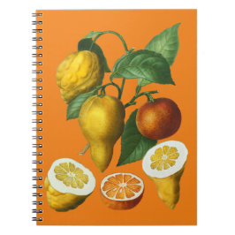 CITRUS FRUKT ANTECKNINGSBOK