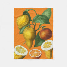 CITRUS FRUKT