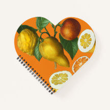 CITRUS FRUKT NOTEBOOK