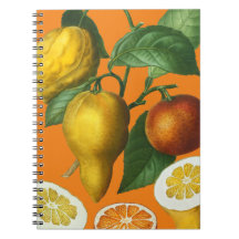 CITRUS FRUKT NOTEBOOK