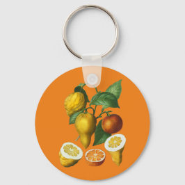 CITRUS FRUKT NYCKELRING