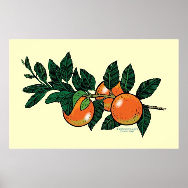 Citrus gren poster (Framsidan)