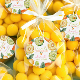 Citrus Har Real Watercolor Fruit Baby Shower Gåvor Etiketter