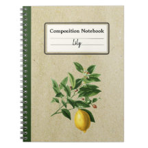 Citrus Limonium Illustration Personlig Comp