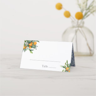 Citrus Mediterranean-plattor Bröllop Place Card Placeringskort