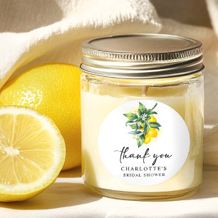 Citrus-Möhippa Runt Klistermärke