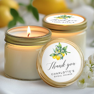 Citrus-Möhippa Runt Klistermärke