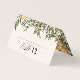 Citrus orange botanisk modern rustik platskort kort