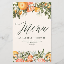 Citrus orange botaniskt modernt, rostfritt lantbru