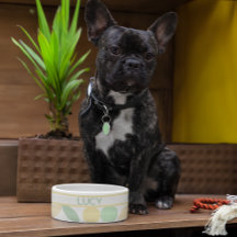 Citrus Retro-Hund av citron/citrusfrukter av citru