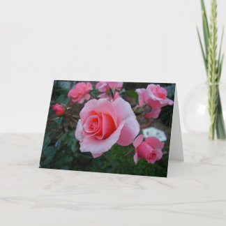 Citrus retsticka kort