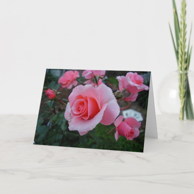 Citrus retsticka kort (Framsida)