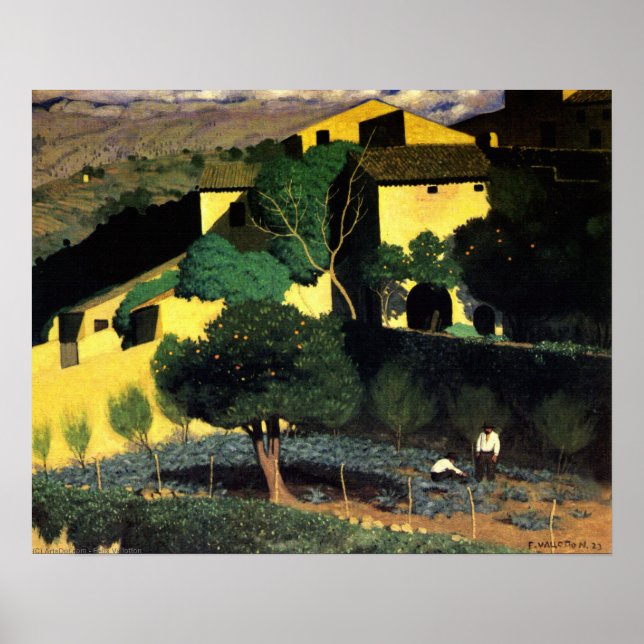 Citrus Träd Garden i Cagnes Poster (Framsidan)