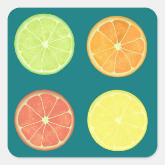 Citrusdekal Fyrkantigt Klistermärke