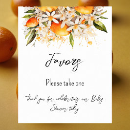 Citrusfavoriter för orange babyskor poster