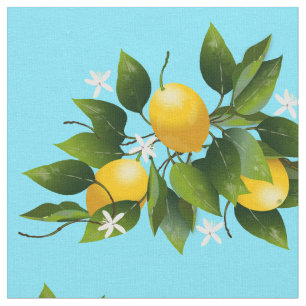 Citrusfrukt, Blommigt Tyg
