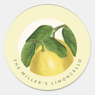 Citrusfrukt Citroner Hemmagjord Limoncello Runt Klistermärke