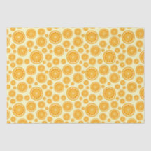 Citrusfrukt i orange Segment