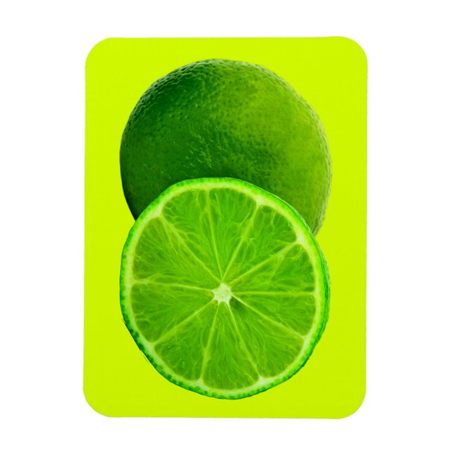 Citrusfrukt, ljus Grönt Segce of Lime Magnet (Vertikal)