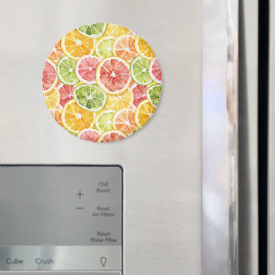 Citrusfrukter Lime Citron Apelsin Grapefrukt Magnet