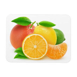 Citrusfrukter Magnet
