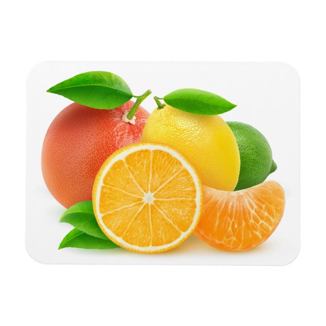 Citrusfrukter Magnet (Horisontell)