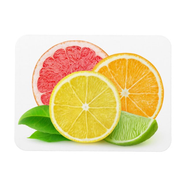 Citrusfrukter Magnet (Horisontell)