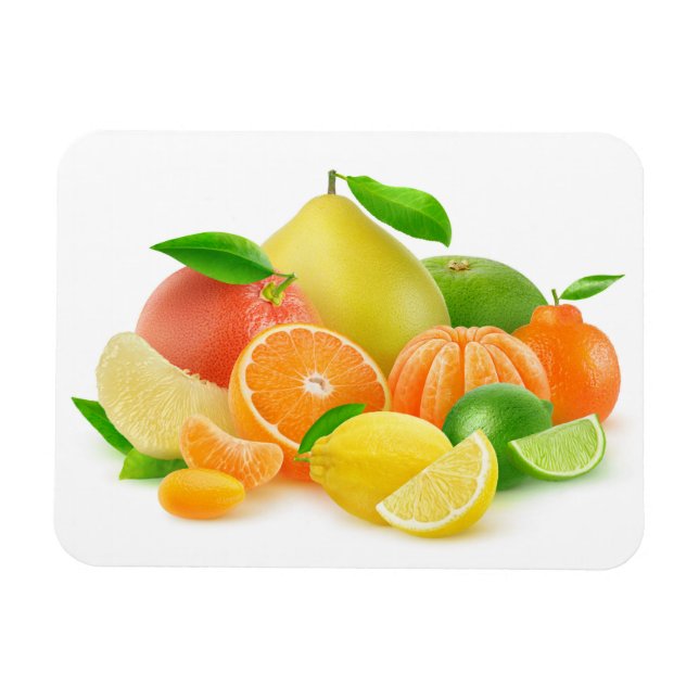 Citrusfrukter Magnet (Horisontell)