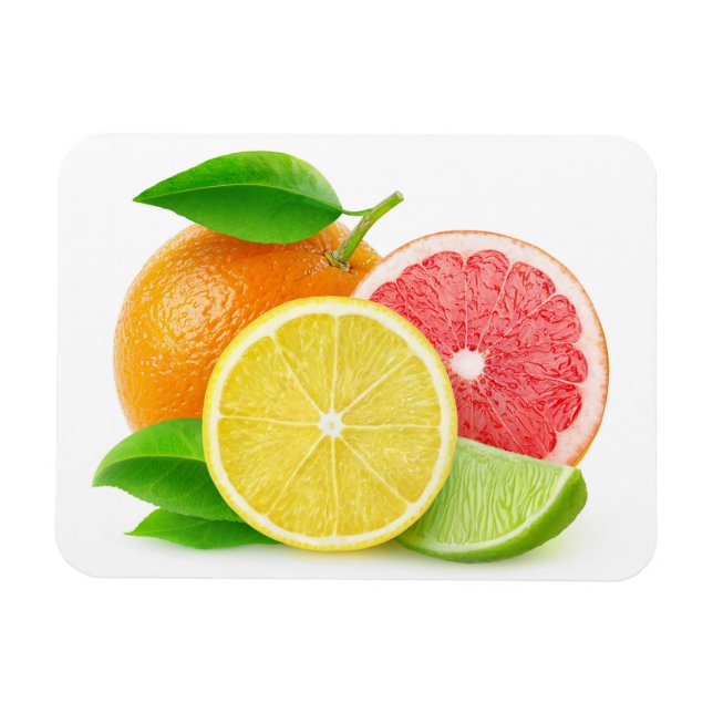 Citrusfrukter Magnet (Horisontell)