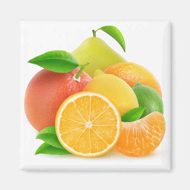 Citrusfrukter Magnet (Framsidan)