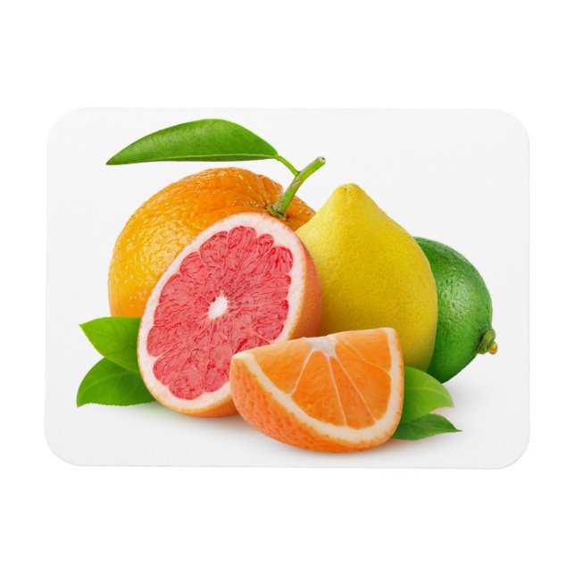 Citrusfrukter Magnet (Horisontell)