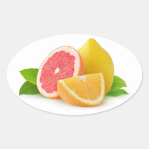 Citrusfrukter Ovalt Klistermärke