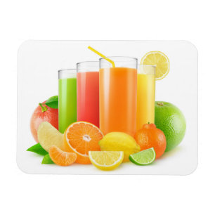 Citrusfruktjuicer Magnet