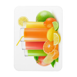 Citrusfruktjuicer Magnet