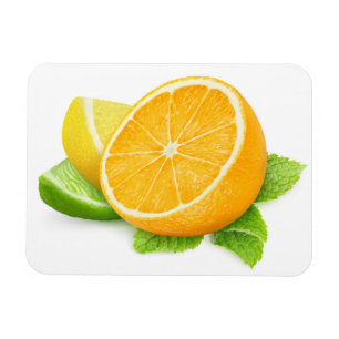 Citrusfruktskivor Magnet