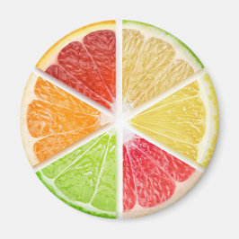 Citrusfruktskivor Magnet