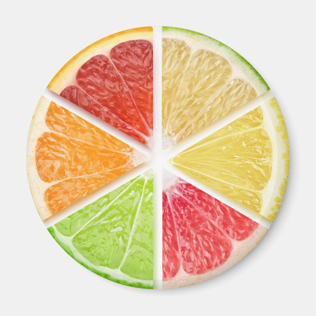 Citrusfruktskivor Magnet (Framsidan)