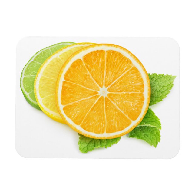 Citrusskivor Magnet (Horisontell)