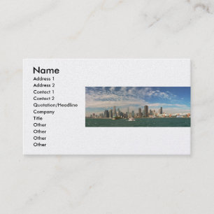 City - Chicago Skyline & Navy Pier Visitkort