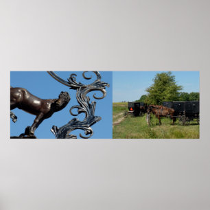 City Horse, Land Horses Poster