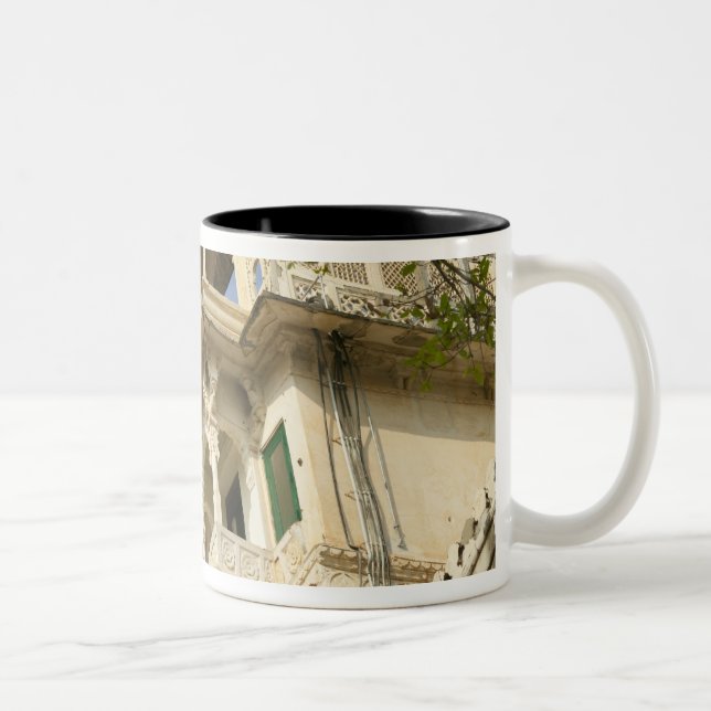 City Palace, Udaipur, Rajasthan, Indien Två-Tonad Mugg (Höger)