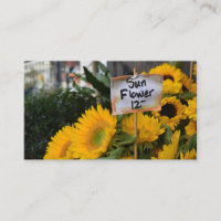City Sunblommor NYC Blomsterfotografi Nature