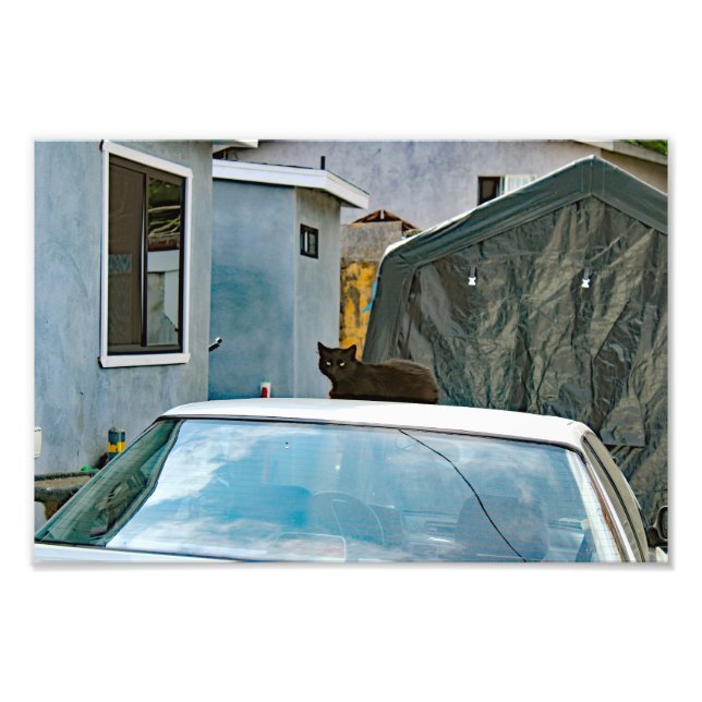 City Terrace Fototryck (Framsidan)