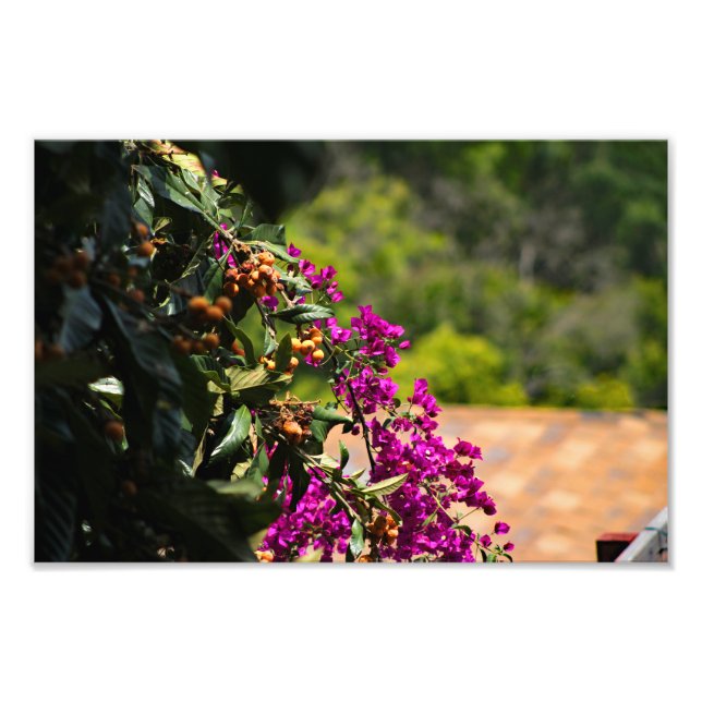 City Terrace Fototryck (Framsidan)