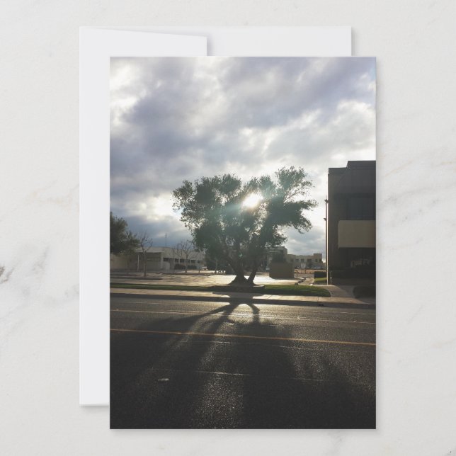 City Träd Meddelande (Framsida)