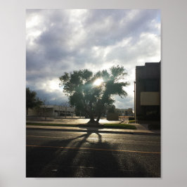City Träd Poster