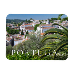 Cityscape i Aveiro, Portugal Magnet
