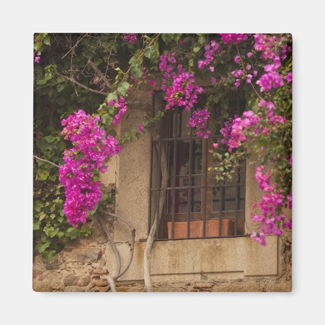 Ciudad Monumental, blomsterklädda byggnader Magnet (Framsidan)